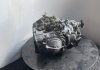 АКПП 4x4 X-TRAIL Qashqai Renault Koleos 2.0 DCI 2013 1XN0A NISSAN 310201XN0A (фото 8)