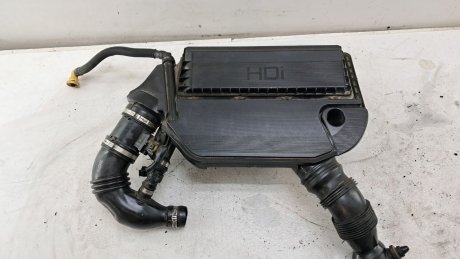 Корпус воздушного фильтра Peugeot Bipper Citroen Nemo 1.3 Diesel 2011 гг Peugeot/Citroen 51886332
