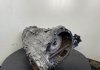 АКПП MULTITRONIC A4 B8 A5 8T 2.0 TDI 2011 VAG KSR (фото 8)